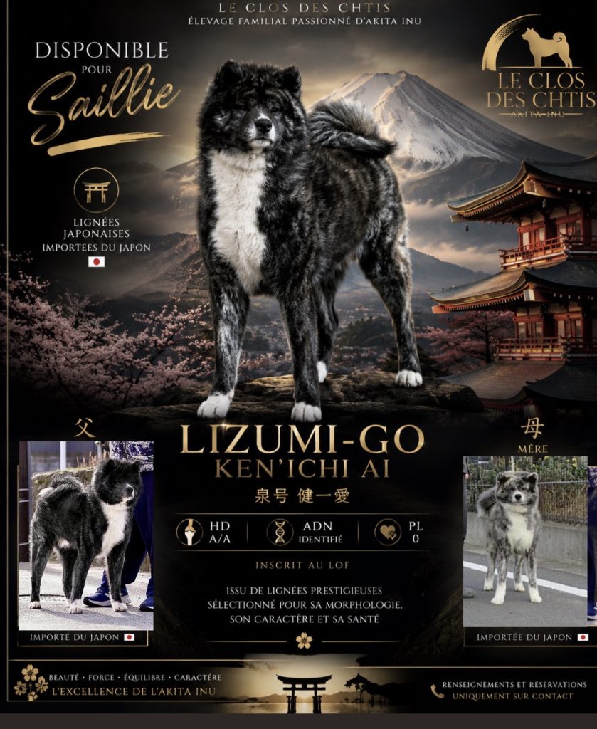 LIZUMI - GO KEN'ICHI AI